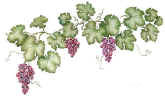 Grapevines