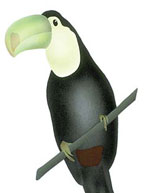 Toucan