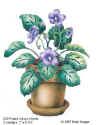 African Violet